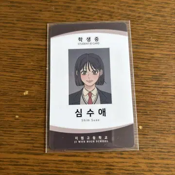 작전명은 순정 키무나 마나미 공식