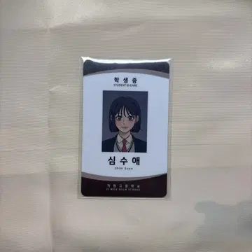 작전명은 순정 키무나 마나미 공식