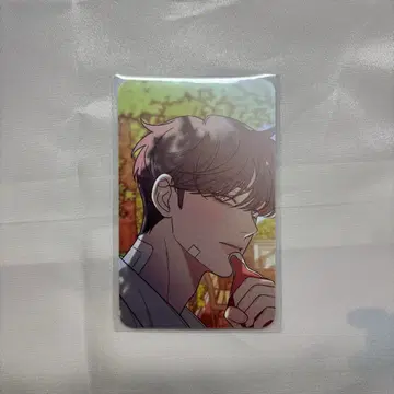 작전명은 순정 타치바나 렌 공식