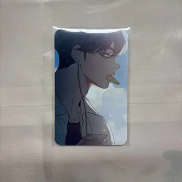 작전명은 순정 타치바나 렌 공식