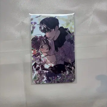 작전명은 순정 공식