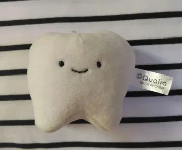 닛코리노 칫솔 봉제 인형 치아 Qualia