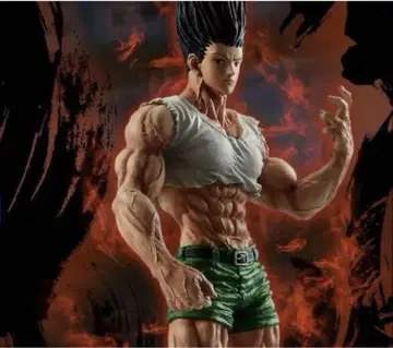 HUNTER x HUNTER 곤 씨 라스트 원상 피규어