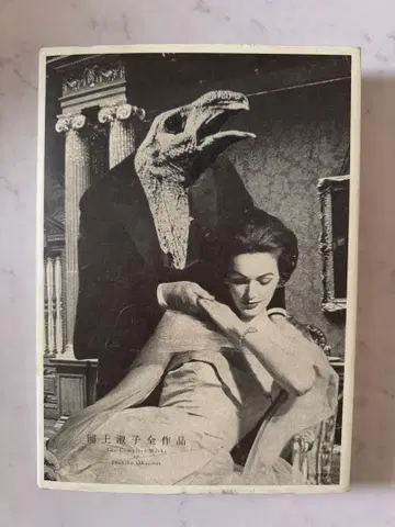 오카가미 토시코 전 작품 콜라주 집