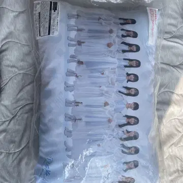 사카미치 시리즈 아이돌 쿠션