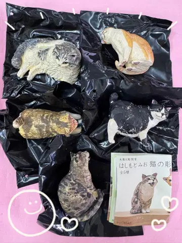 하시모토 미오 고양이 조각 2 전 5종 컴프 세트