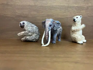 하시모토 미오 코끼리 나무늘보 북극곰 세트