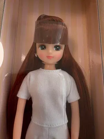 리카짱 캐슬 2020 일본 BASIC 모델