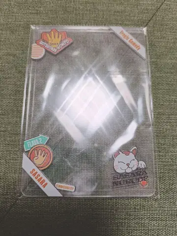히프노시스 마이크 flava2 경질 케이스 시로가네 사사라