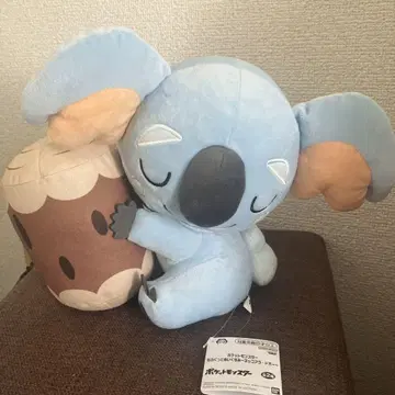 네코알라 코알라 포켓몬 약 25cm 모후굿토 봉제 인형 새상품!