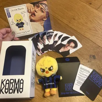 KARMA SKZOOver. 포가리
