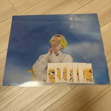 패밀리 복권 클리어 포스터 스티커 루토