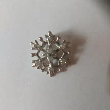 pt1000 목걸이 탑