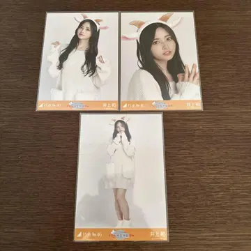 이노우에 나기사 브로마이드 곤조 머리띠