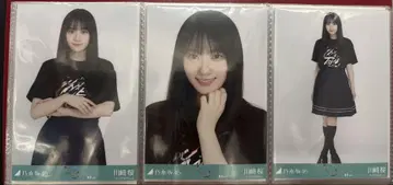 노기자카46 브로마이드 도쿄 라이브T 2025 카와사키 벚꽃 컴프