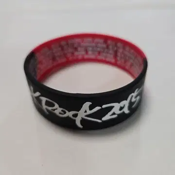 ONE OK ROCK 2015 러버 밴드