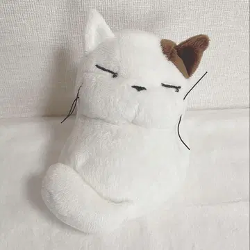 스튜디오 지브리 코냐라 봉제 인형 동동이 공화국 고양이 고양이