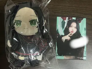 AVAM 코토리유 아미 봉제 인형 & 친필 사인 트레이딩 카드