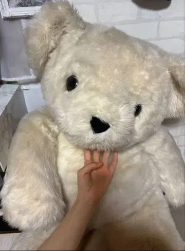 커다란 크림색 곰 봉제 인형 테디베어