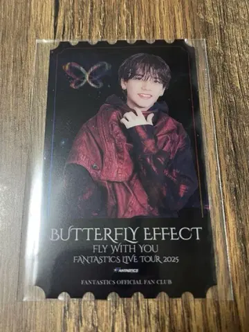 BUTTERFLY EFFECT 나카지마 소우타