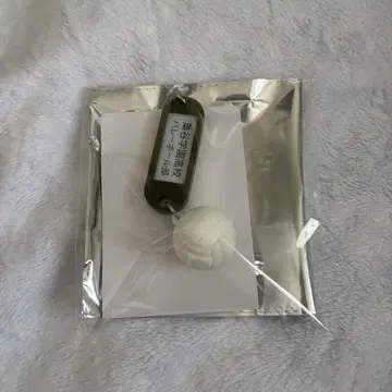 하이큐 열쇠고리 참 부엉이