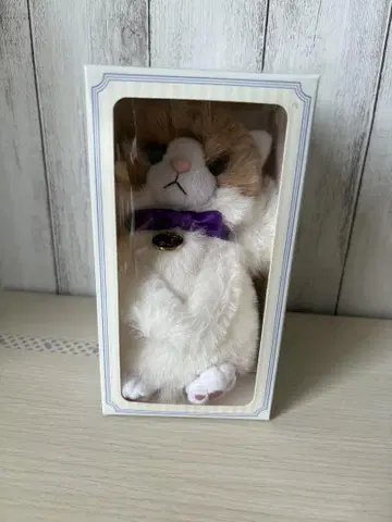 후지와라 이츠키 멘프로 마스