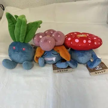 구형 택 미사용 포켓몬 fit 봉제 인형 뚜벅쵸 도나리 나조노쿠사