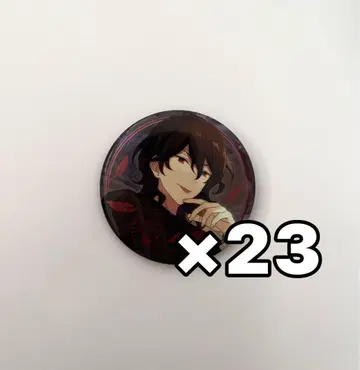 사쿠마 레이 중국 캔뱃지 23개