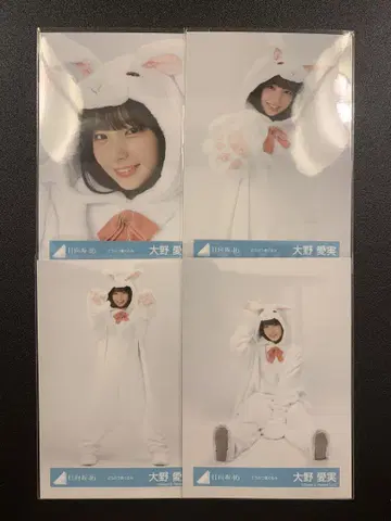 히나타자카46 오노 마나미 동물 인형옷 컴프