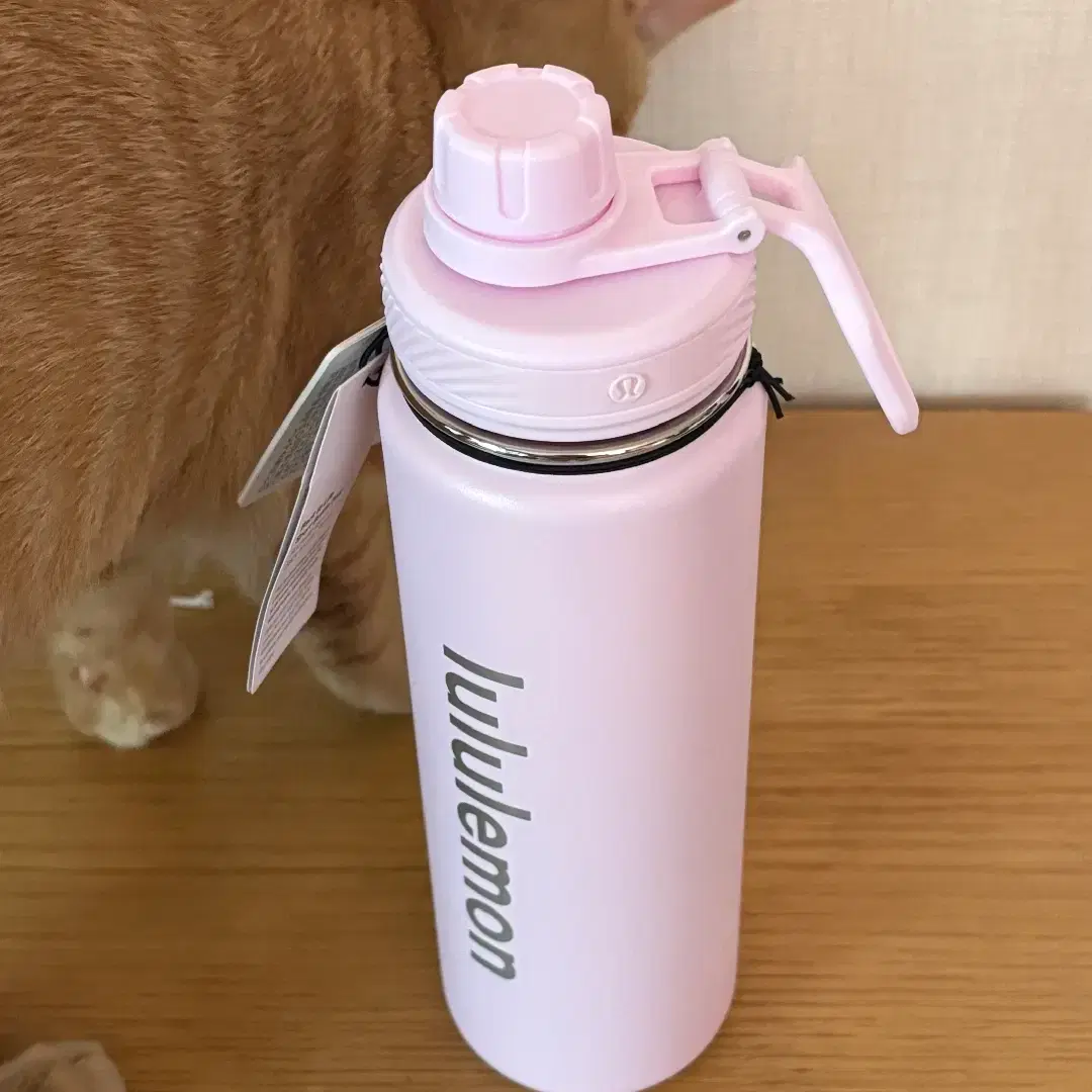 LULULEMON | 룰루레몬 Lululemon tumbler, brand new #블루레몬,#텀블러,#새상품 on Bunjang  Global Site., image size:1080x1080