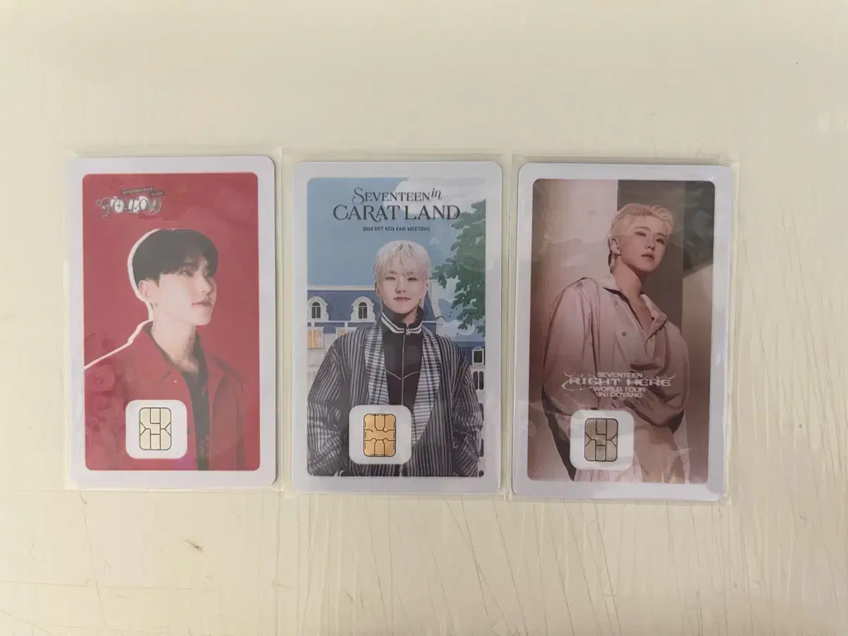 Seventeen Hoshi Namane Card wts 1.0