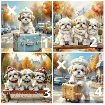 오더 접수 시츄