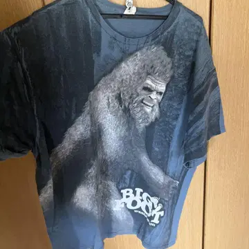 90's 'DELTA' BigFoot T