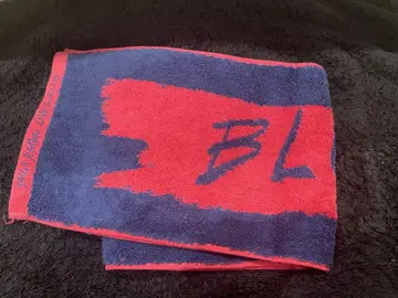 익명 배송 쿄모토 타이 가 BLUE OF LIBERTY 머플러 타월