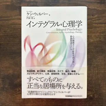 인테그랄 심리학