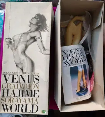 보크스 큐티 허니 1/4 소라야마 하지메 레진 키트 미조립