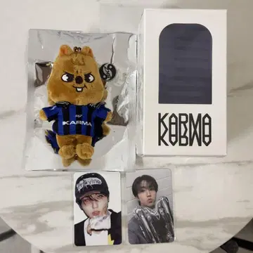 straykids KARMA SKZOO 한 한쿼카