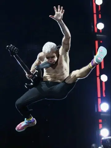 레드 핫 칠리 페퍼스 Flea 밴드 포스터 서양 POP