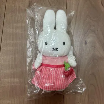 미피 zakka 페스티벌 2023 체리 드레스 마스코트
