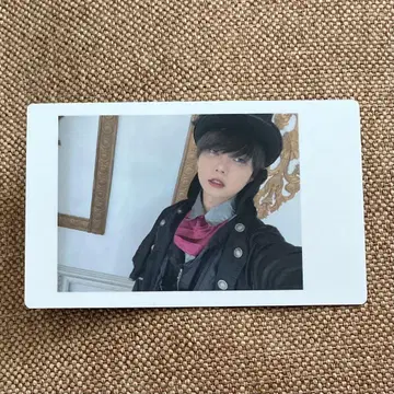 팬더 드래곤 아즈 하피카 2