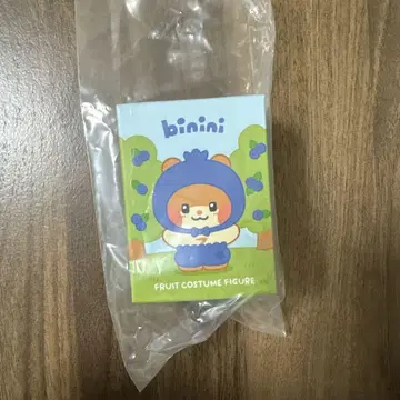 ZB1 zeroni binini 후르츠 한빈
