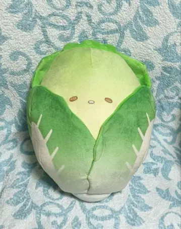 토레바 한정판 화이트 양배추 아기 봉제 인형 36cm