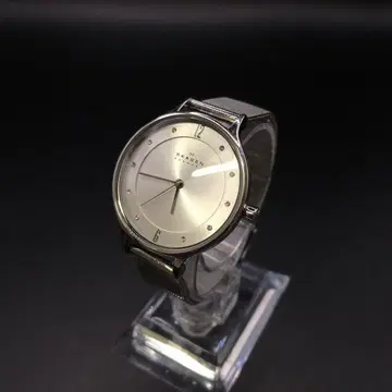 즉시 결제 SKAGEN 스카겐 손목시계 SKW2149