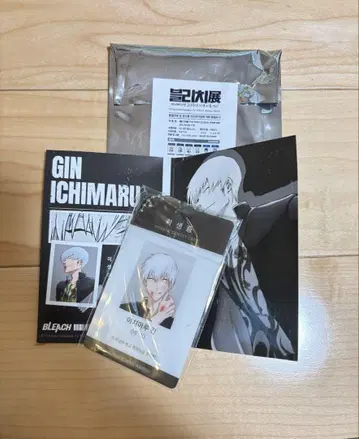 BLEACH 원화전 한국 아크릴 키링 학생증 이치마루 긴