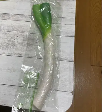 올드블룸 파 파 스퀴즈