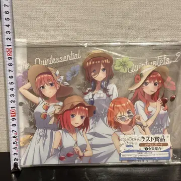 5등분의 신부 아크릴 플레이트