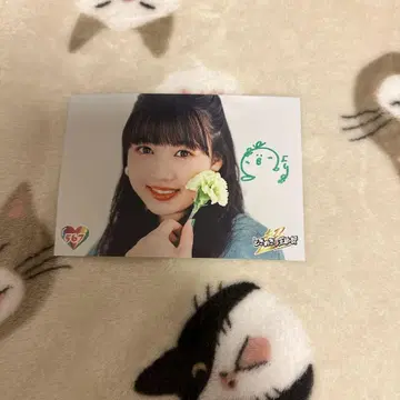 초 도키메키 선전부 요시카와 히요리 사인 포함 브로마이드