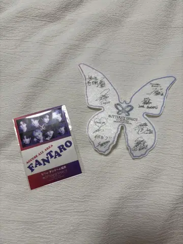 FANTASTICS BUTTERFLY EFFECT 메시지 카드