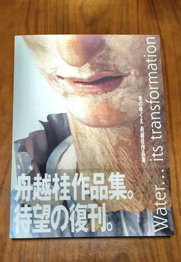 [ 새상품급! ] 후나코시 카츠라 작품집 물의 행방