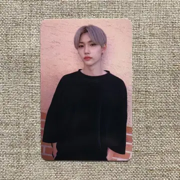 StrayKids 스키즈 필릭스 GO SUBK 포토 카드 트레이딩 카드